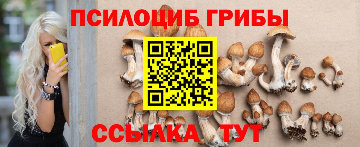 Галлюциногенные грибы GOLDEN TEACHER  Вход с VPN  Клинцы 